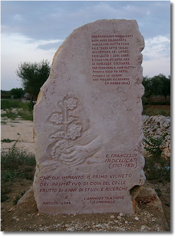[stele-primitivo-di-gioia.jpg]
