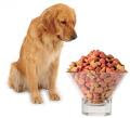 Dog Food