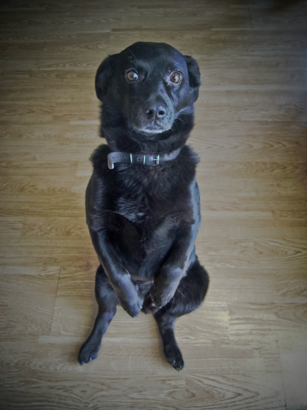 [rambou23+(1+of+1).jpg]