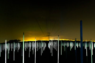 Magfields bulbs