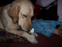 Yumm Christmas bone!