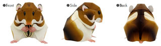 Syrian Hamster Papercraft