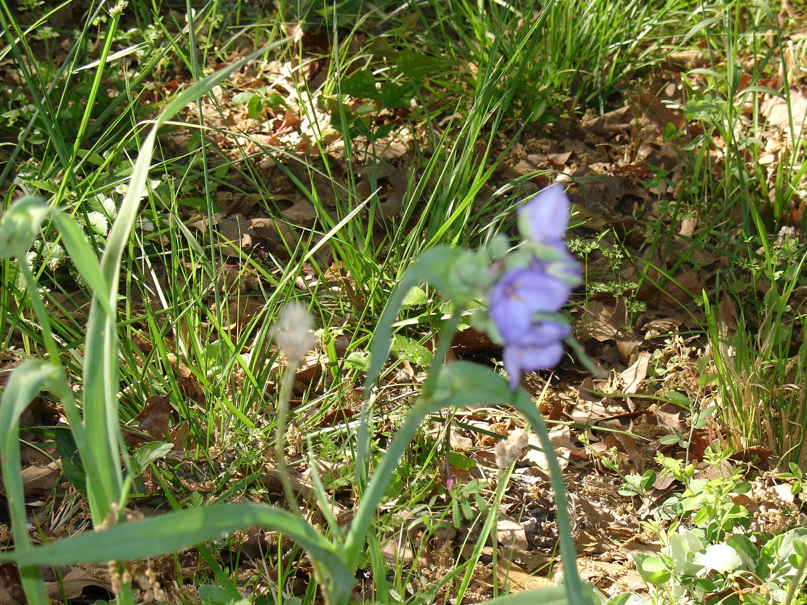[DSC03473.JPG]