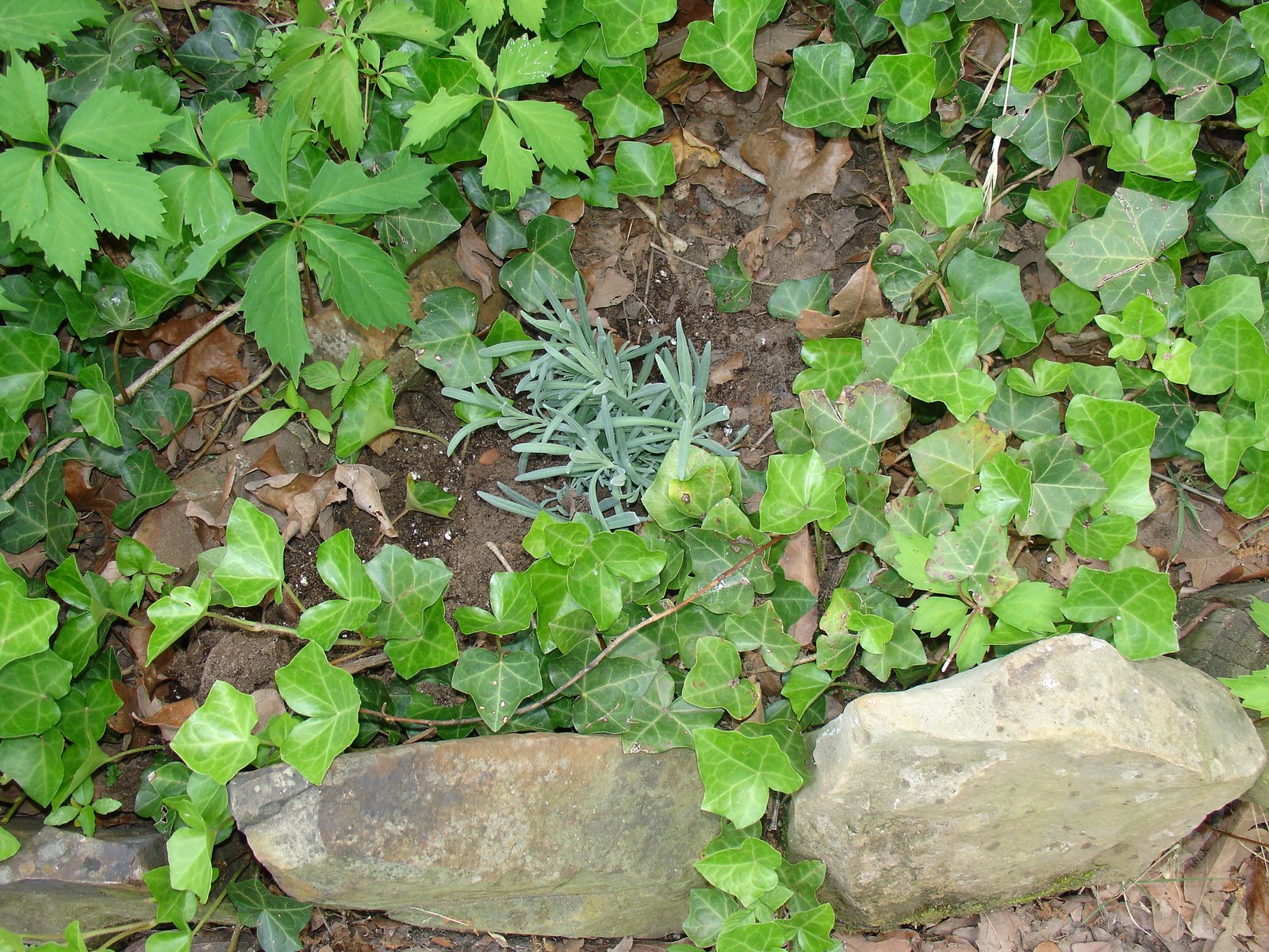 [DSC03617.JPG]