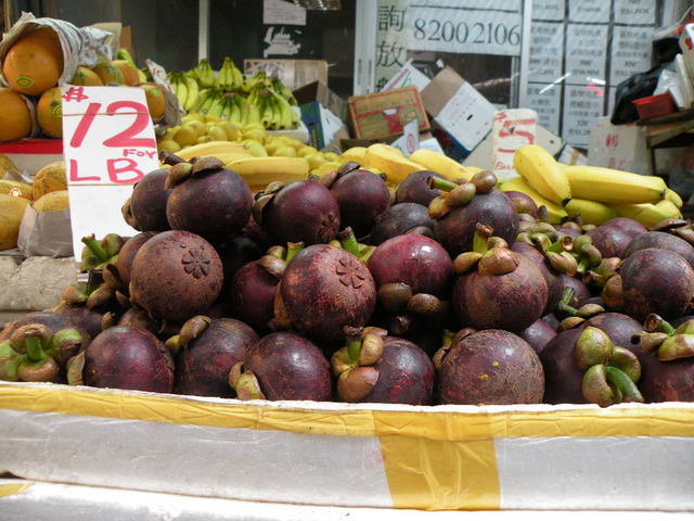 [DSCN1805.JPG]