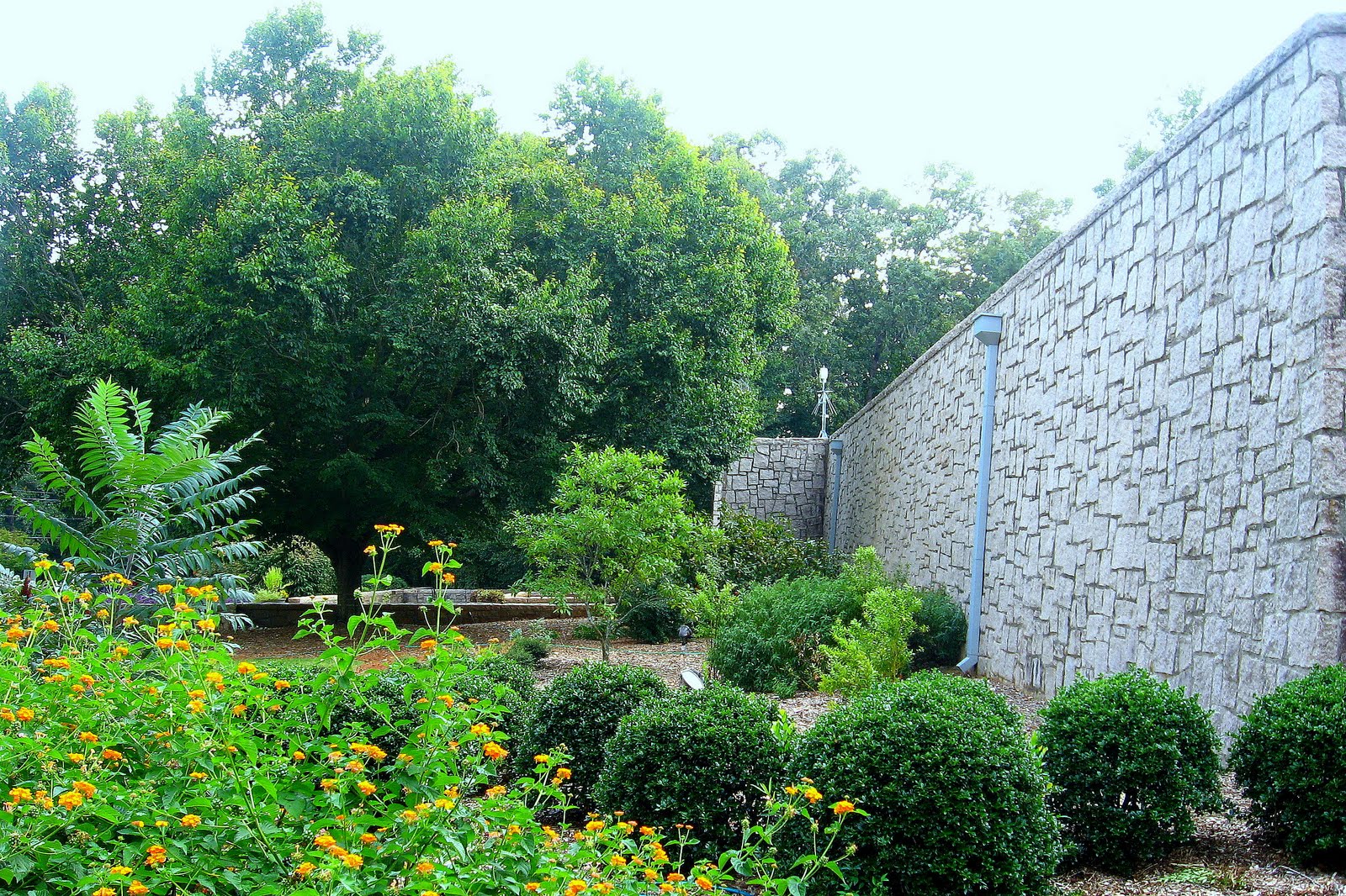 fernbank science center