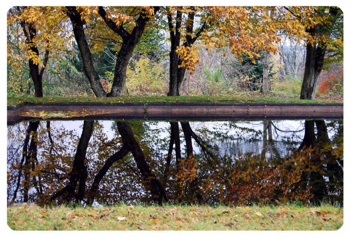 Nybliven trädgårdsmästare: november 2009