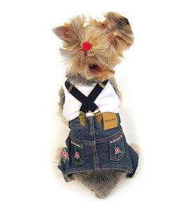 pantalon denim perro