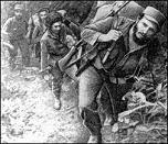 [fidel+guerrilla.jpg]