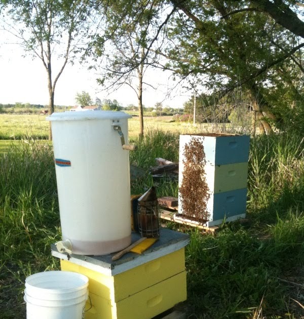 What Should I Be Doing With My Bees This Month? A Honey Bound Hive