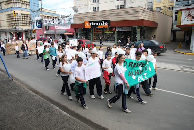 Tubarão SC - Festa da Paz