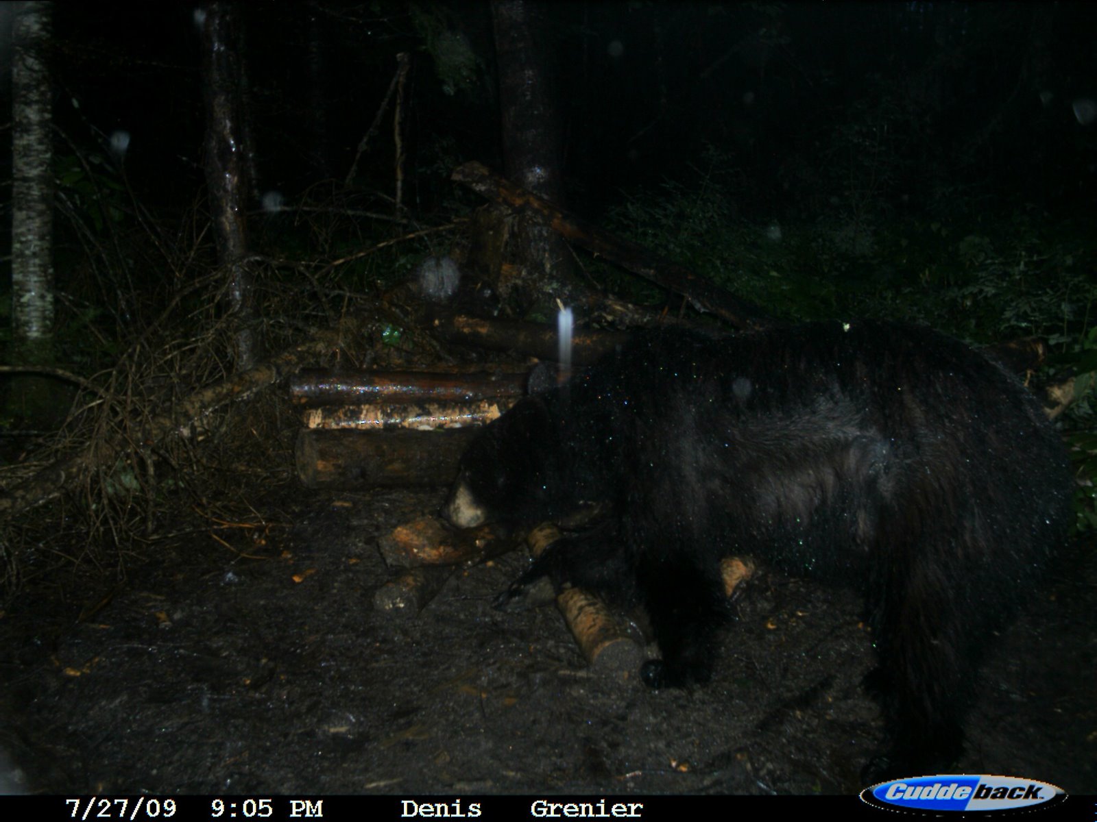 [2009+BEAR+BAITS+PAKWASH+057.jpg]