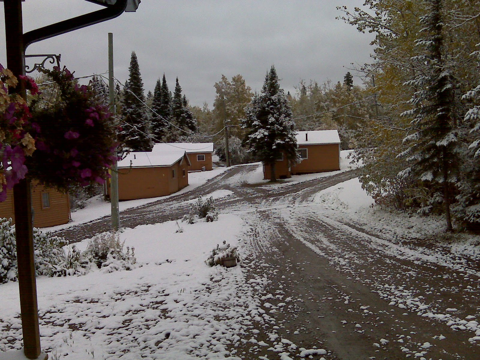 [Ear+Falls+Snow.jpg]