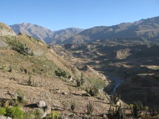 [IMG_2466.JPG]