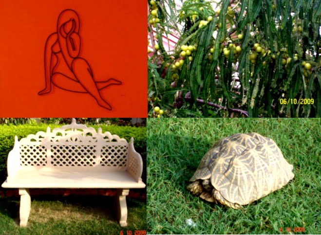 [Masters+Paradise.jpg]