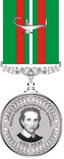 Medalha Mérito da Enfermagem Brasileira - Ana Néri