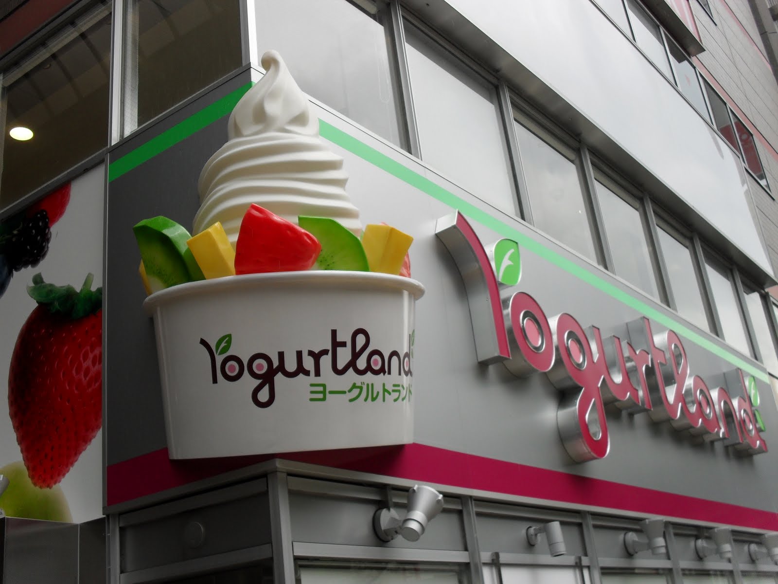 Ramblings From Life Yogurtland Osaka