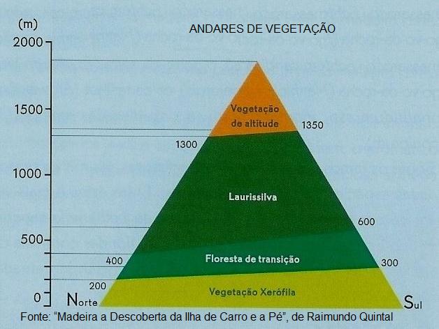 Andares%2Bde%2BVegeta%C3%83%C2%A7%C3%83%