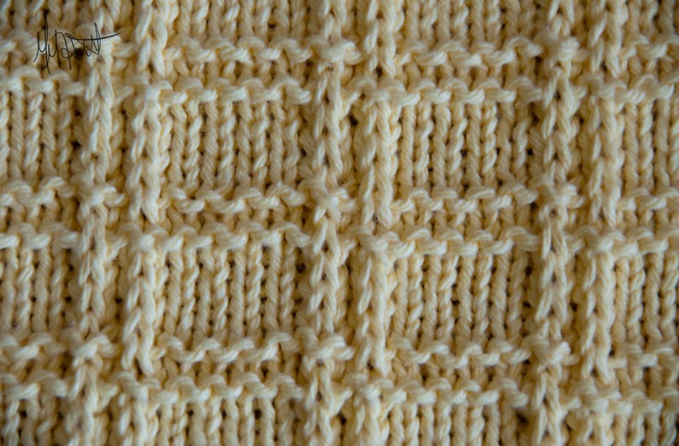 Knit and Crochet Tennessee The Daily Dishcloth Aug 1, 2010