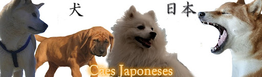 Cães Japoneses