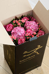 boxed flowers