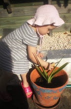 Eu e as minhas amigas plantas...