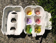 Procurar as cores no jardim