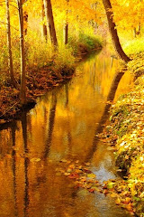 fall along the creek