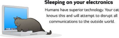 [cat_plotting_kill_you_8.png]