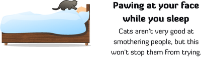 [cat_plotting_kill_you_9.png]