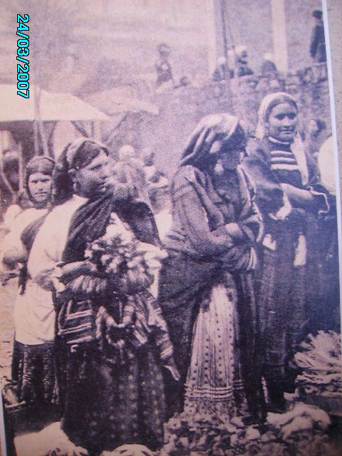 [IMGP1876.JPG]