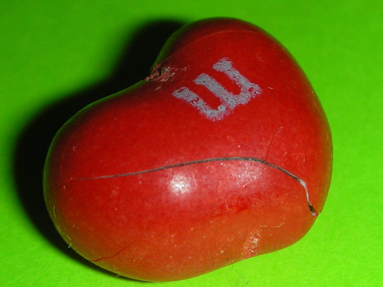 [deformed+m&m+valentine+002.JPG]
