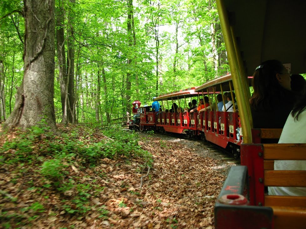 Go Play Outside Cabin John Regional Park