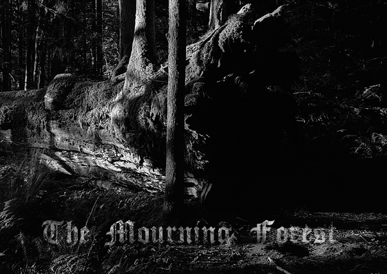 The Mourning Forest