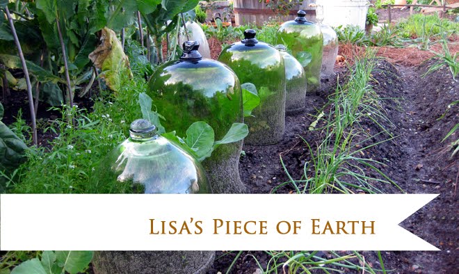 Lisa's Piece of Earth