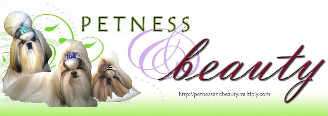 Petness and Beauty: Your One Stop Cyber Pet Shop
