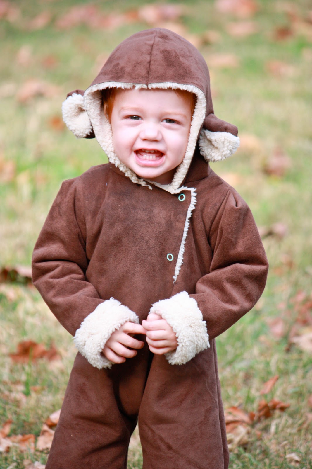 Weird Monkey Pictures