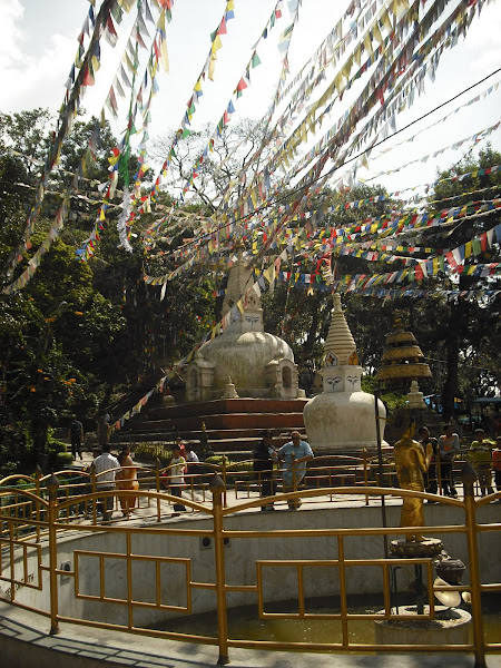 Monkey Temple