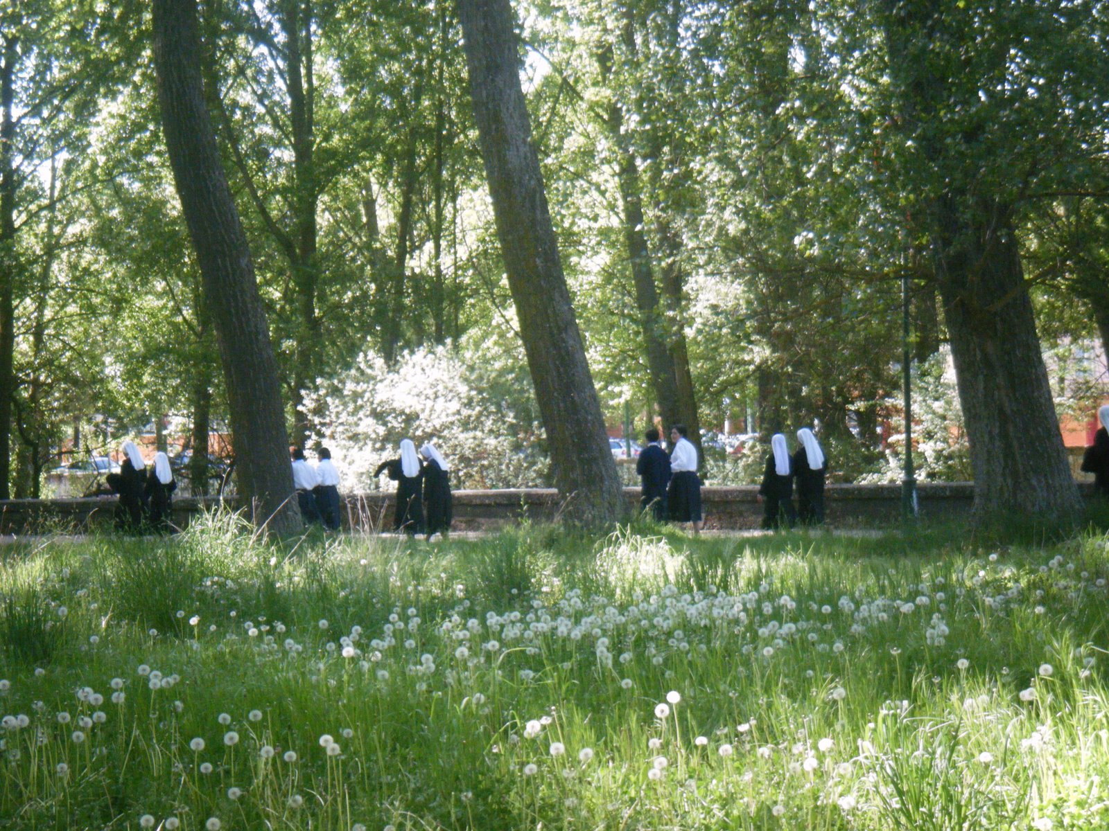 [DSCF0696.JPG]
