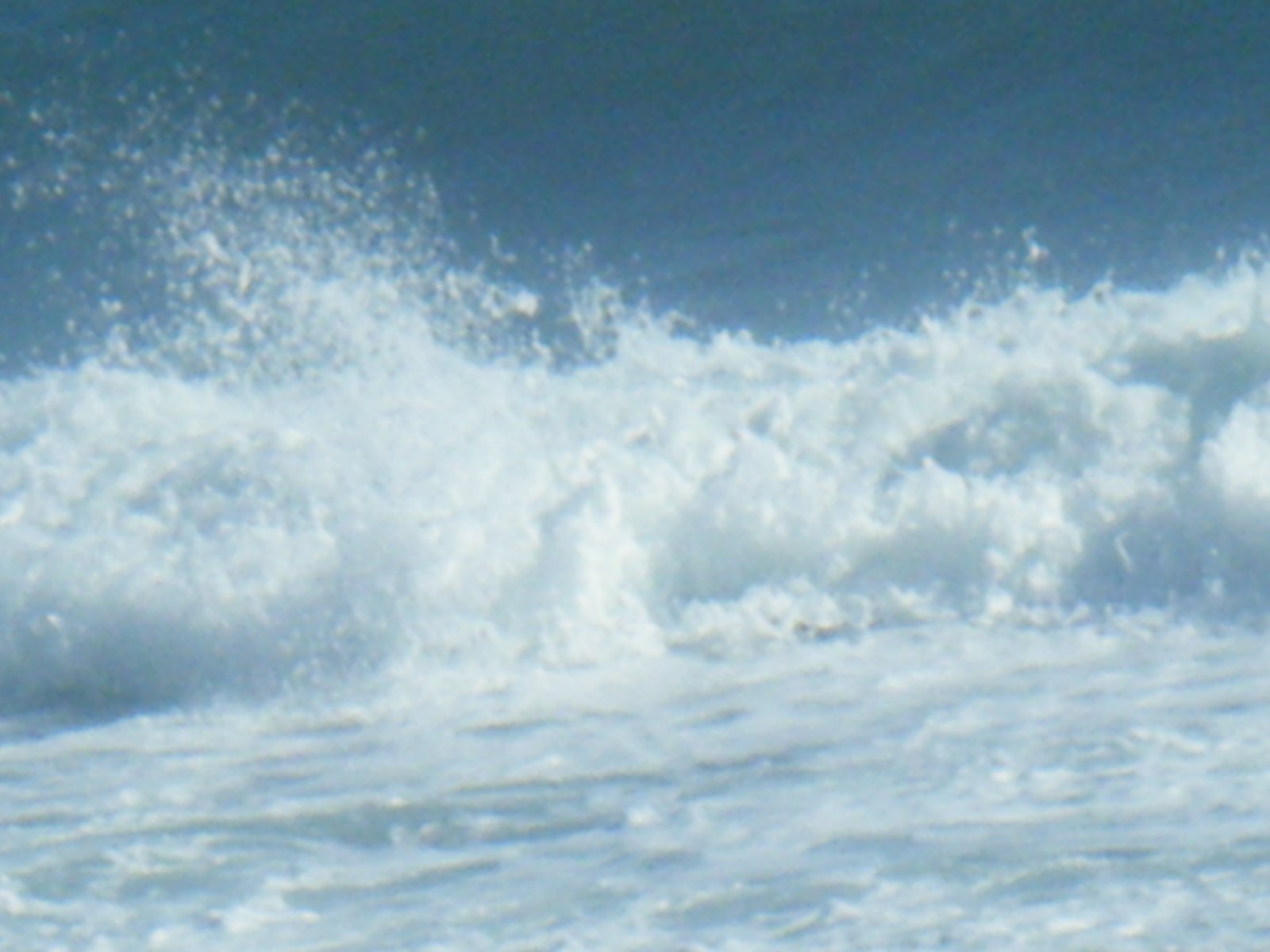 [DSCF0520.JPG]