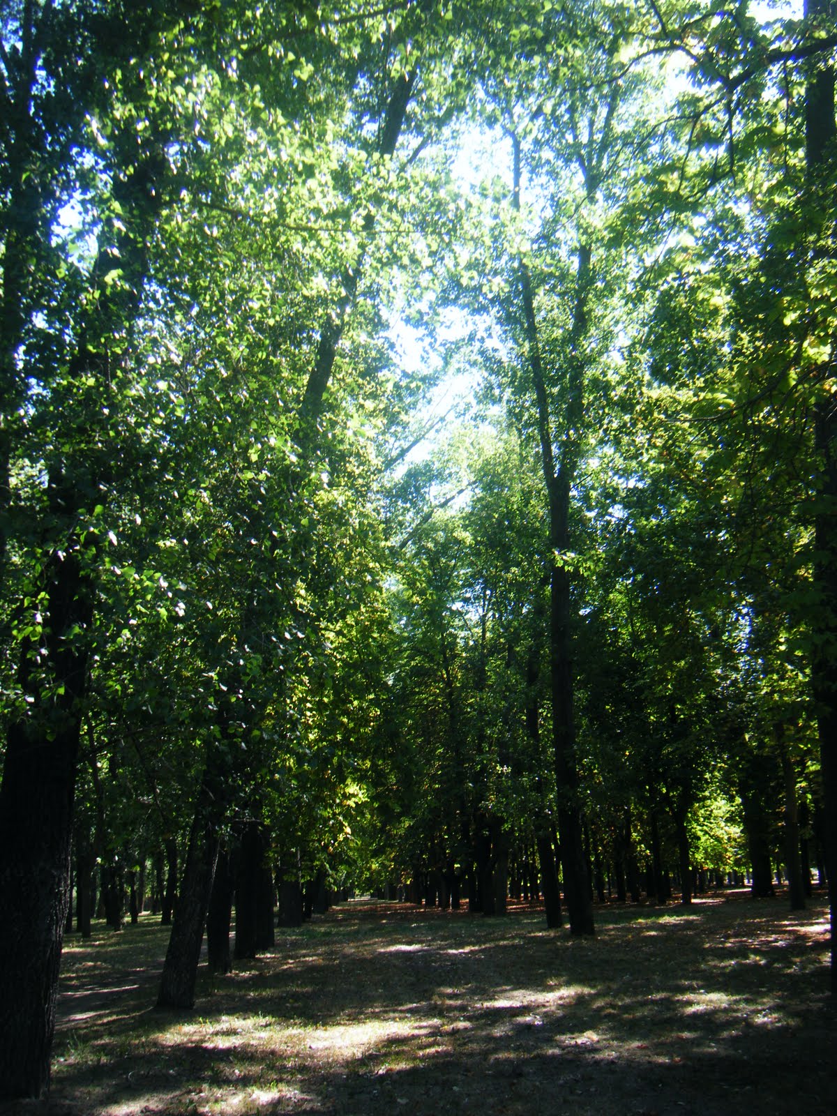 [DSCF1049.JPG]