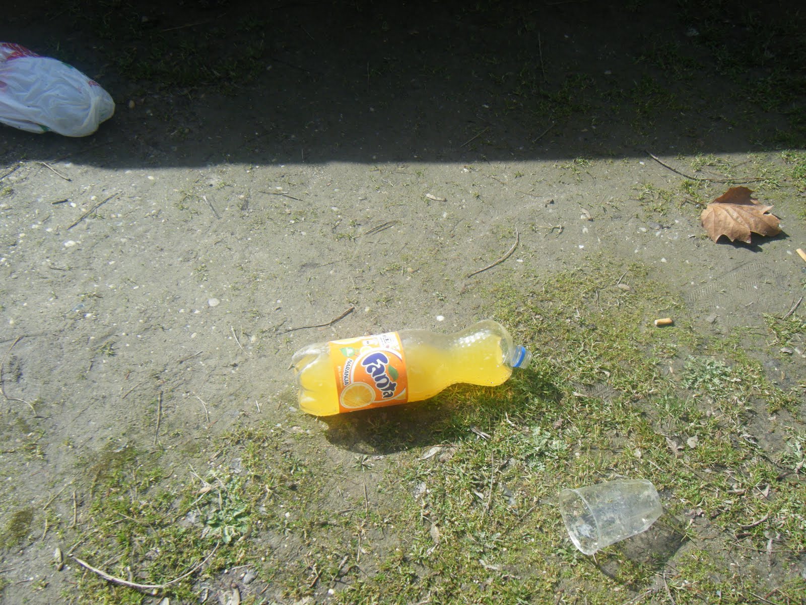 [DSCF0316.JPG]