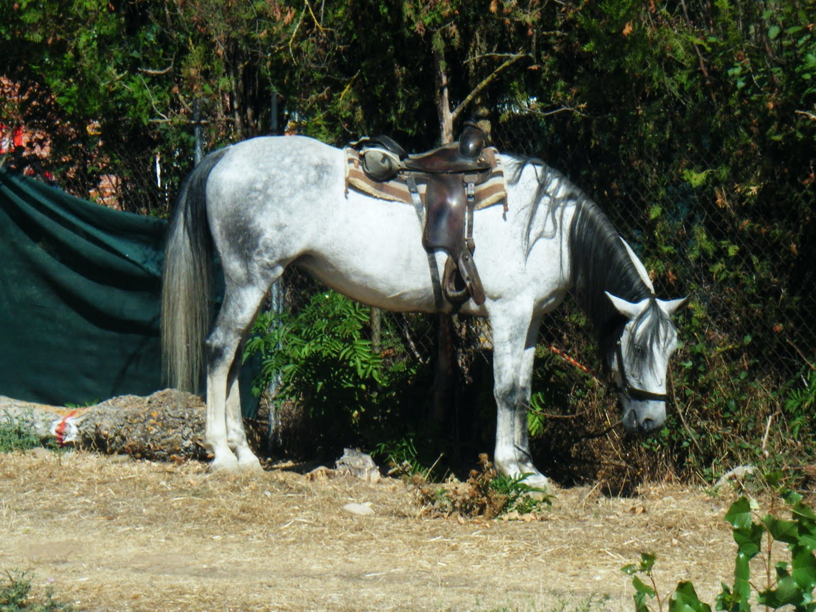 [DSCF1066.JPG]