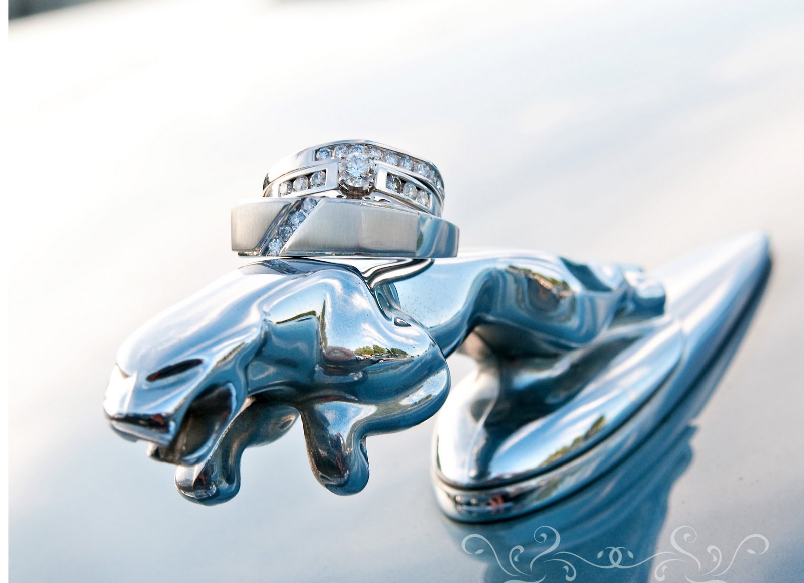 [Jaguaar+wedding+ring+shot.jpg]