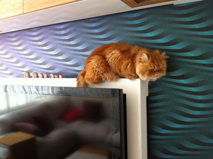 Nesobaby Dünyası Karamel Muzurluk Peşinde