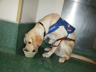 Bob sitting while he drinks his water