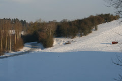 la photo du 16 février 2010(628)