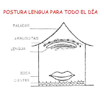 [POSTURA+LENGUA.JPG]