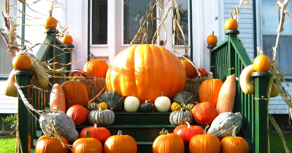With Bite Dill's Atlantic Giant Pumpkin Farm