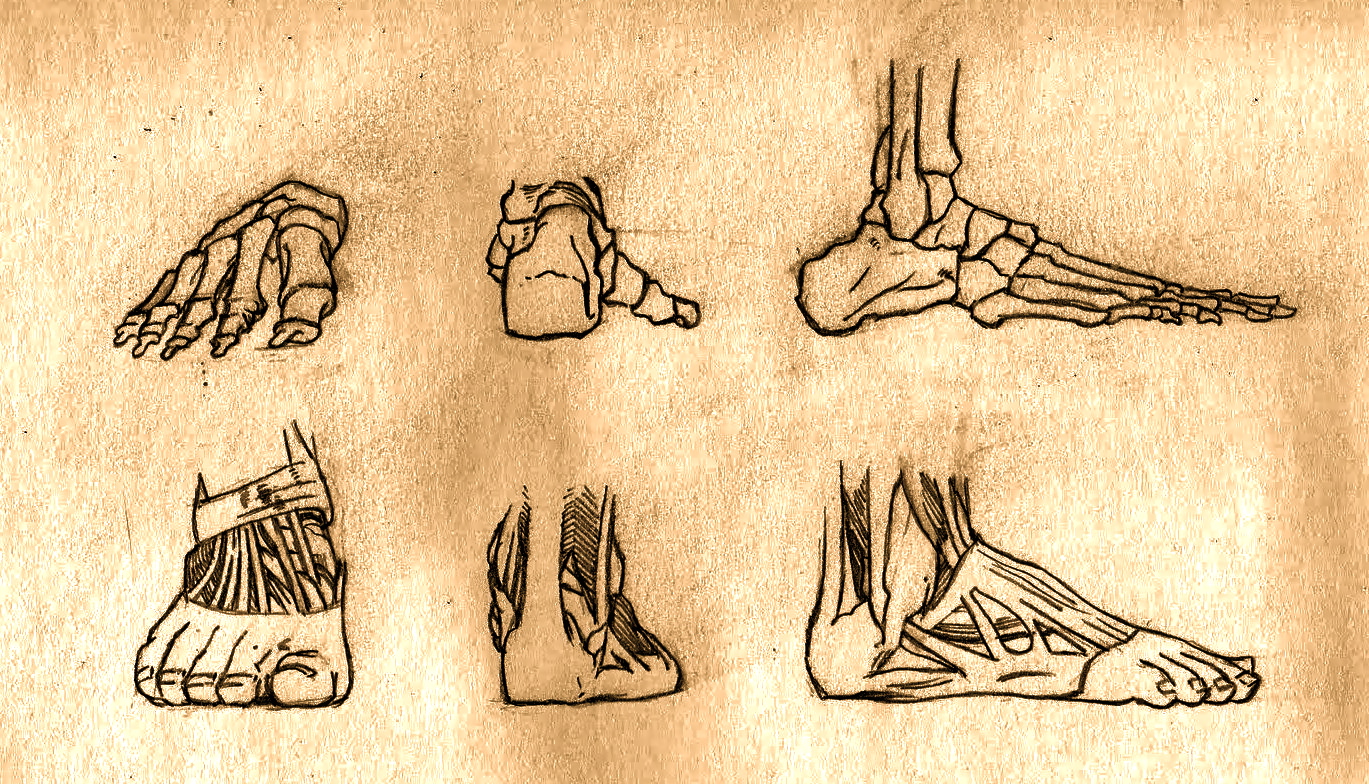 Bone Sketches